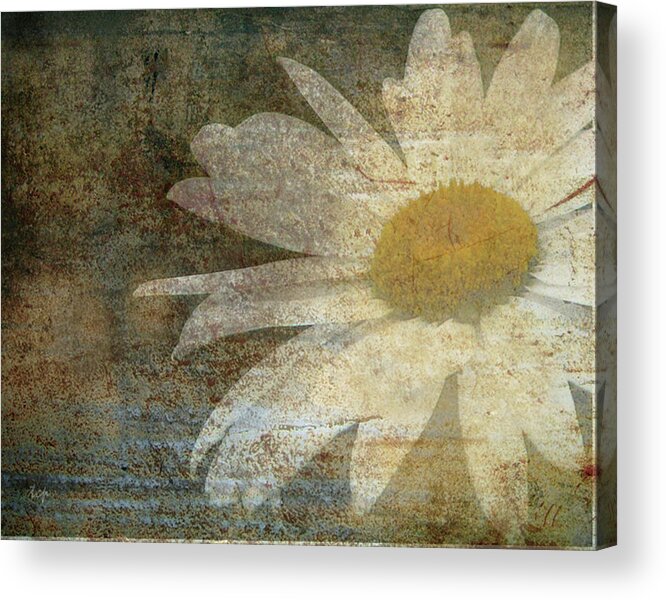 Daisy Acrylic Print featuring the photograph Rusty Dreams by Traci Cottingham