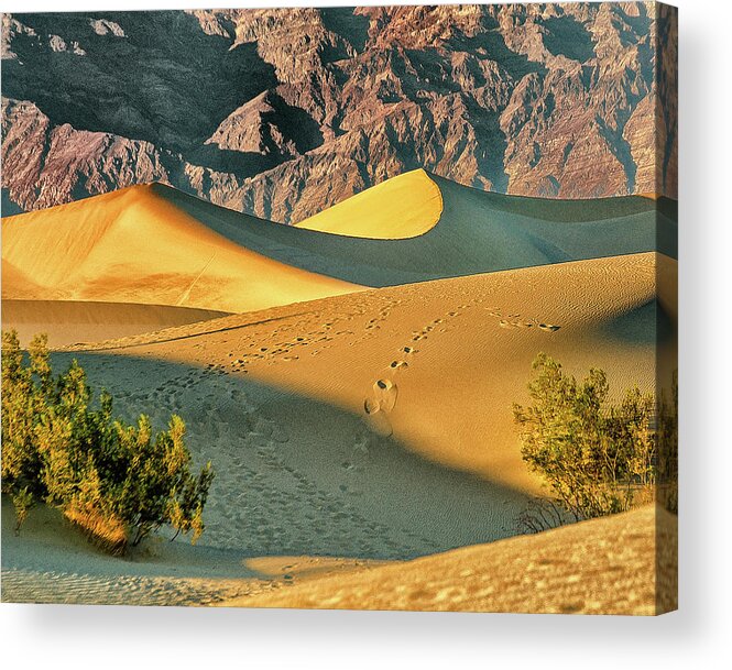 Death Valley Acrylic Print featuring the photograph Sand Dunes - Death Valley by Winnie Chrzanowski