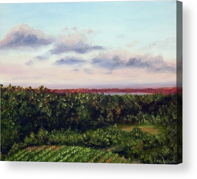 Vineyards Acrylic Print featuring the painting Saude Creek Sunset II by Anne Kushnick