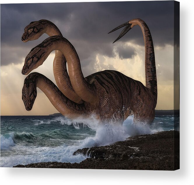 Sea Hydra Acrylic Print by Barroa Artworks - Pixels