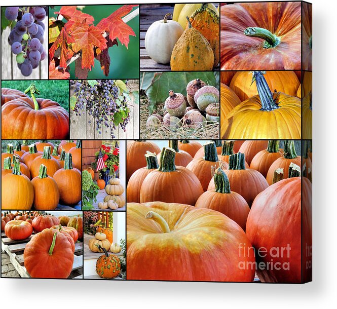 Collage Acrylic Print featuring the photograph September in New England by Janice Drew