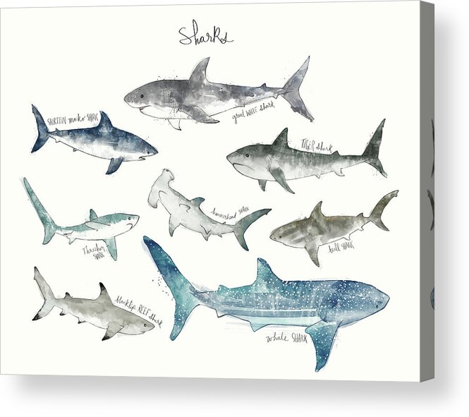 Sharks Acrylic Print featuring the painting Sharks - Landscape Format by Amy Hamilton