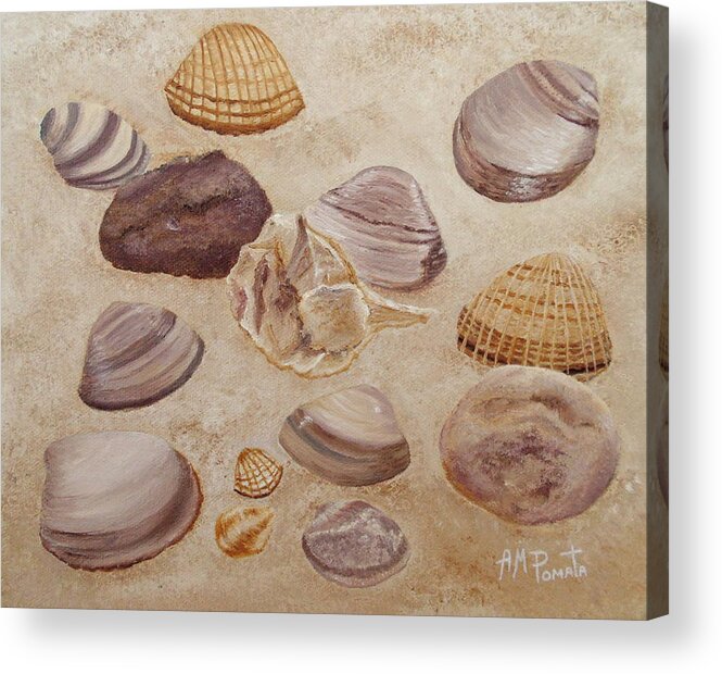 Shells Paintings Acrylic Print featuring the painting Shells and Stones by Angeles M Pomata