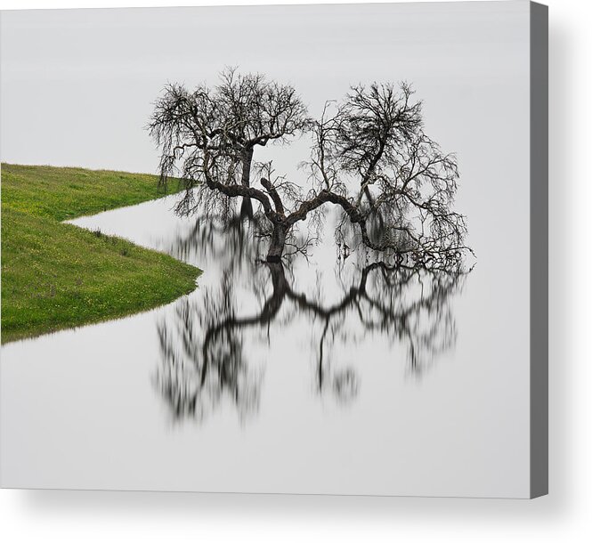 Landscape Acrylic Print featuring the photograph Silver by Hugo Borges