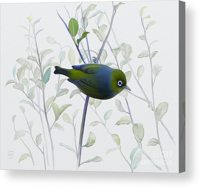 Silvereye Acrylic Print featuring the painting Silvereye by Ivana Westin