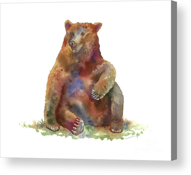 Watercolor Bear Acrylic Print featuring the painting Sitting Bear by Amy Kirkpatrick