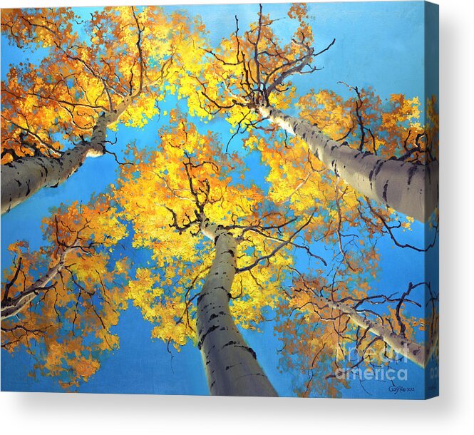 Aspen Trees Birch Gary Kim Oil Print Art Nature Scenes Hospital Healing Environment Patient Santa Fe Fall Trees Autumn Season Beautiful Beauty Yellow Red Orange Fall Leaves Foliage Autumn Leaf Color Mountain Oil Painting Original Art Horizontal Landscape National Park America Morning Nature Wallpaper Outdoor Panoramic Peaceful Scenic Sky Sun Travel Vacation View Season Bright Autumn National Park America Clouds Landscape Natural New Painting Oil Original Vibrant Texture Reflections Bluesky Acrylic Print featuring the painting Sky High Aspen Trees by Gary Kim