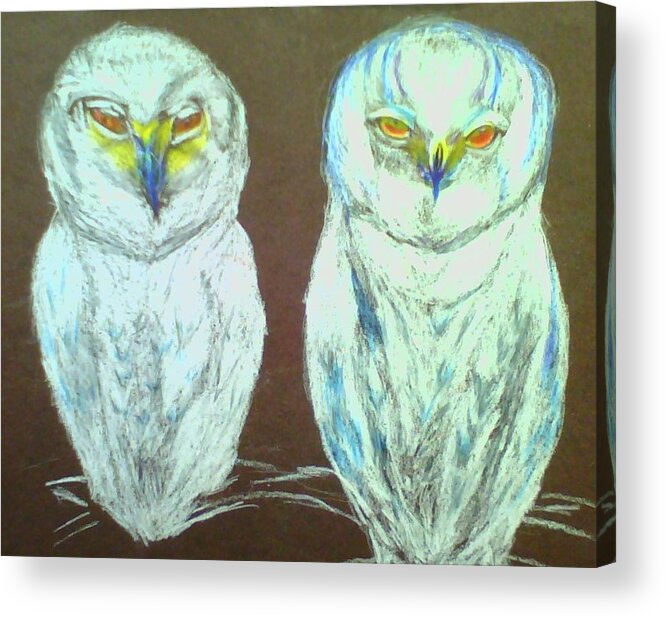 Snow Owls Acrylic Print featuring the drawing Snow Birds by Suzanne Berthier