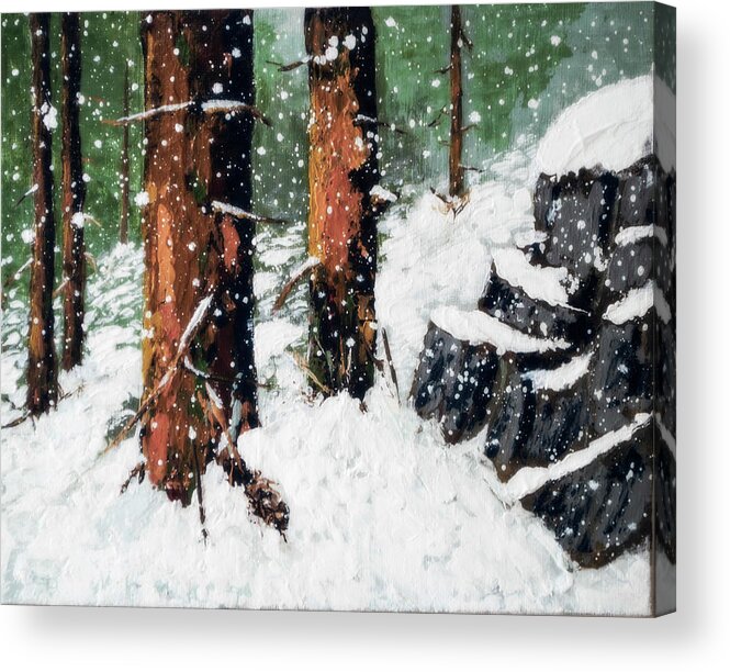 Redwood In Snow Acrylic Print featuring the painting Snowy Redwood Dream by L J Oakes