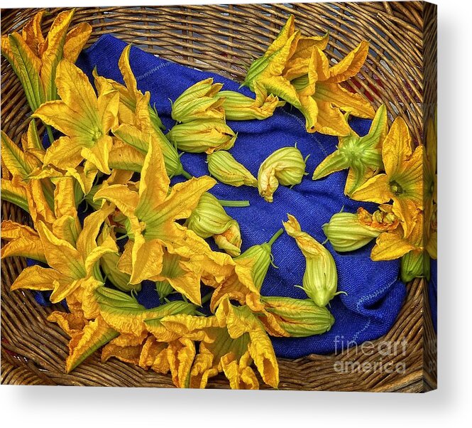 Flower Acrylic Print featuring the photograph Squash Blossom Basket by Dee Flouton