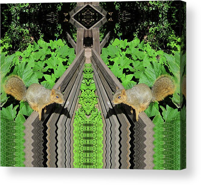 Squirrels Acrylic Print featuring the digital art Squirrels On Fence in Surreal World by Julia L Wright