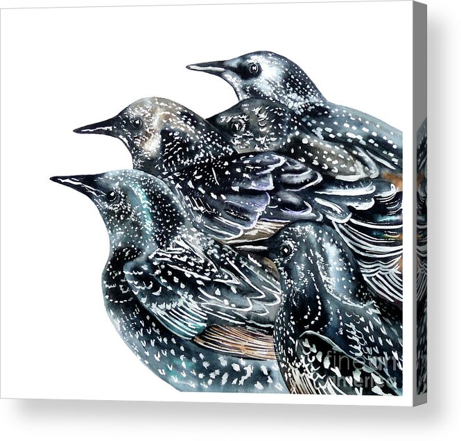 Birds Acrylic Print featuring the painting Starlings by Marie Burke