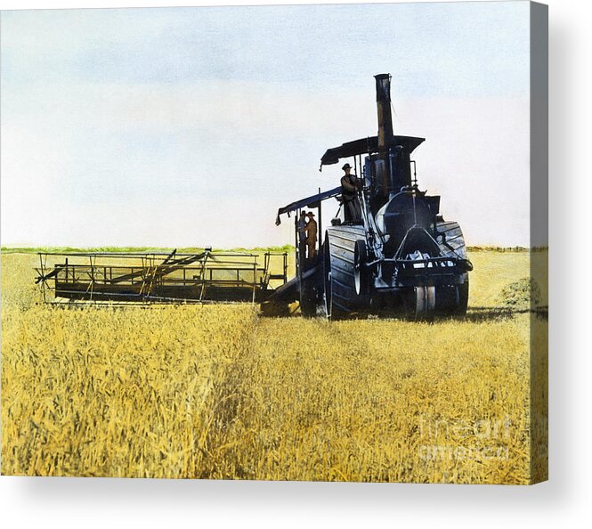 1903 Acrylic Print featuring the photograph Steam Harvester, 1903 by Granger