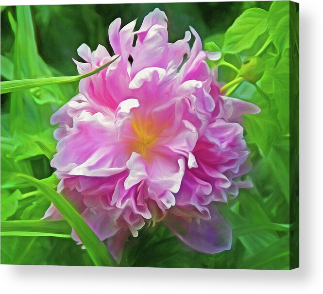 Floral Acrylic Print featuring the mixed media Still At the Heart of Mystery by Lynda Lehmann