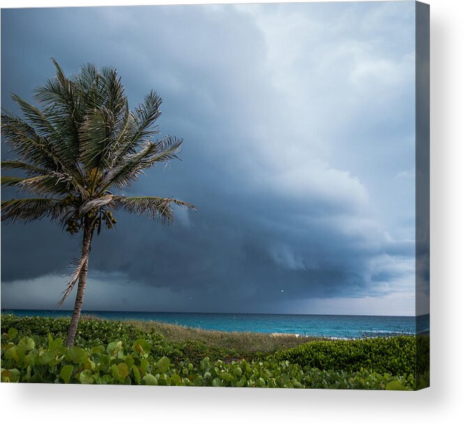 Florida Acrylic Print featuring the photograph Stormy Palm Delray Beach Florida by Lawrence S Richardson Jr