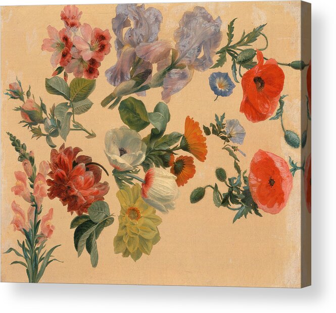 Jacques-laurent Agasse Acrylic Print featuring the painting Studies of Summer Flowers by Jacques-Laurent Agasse