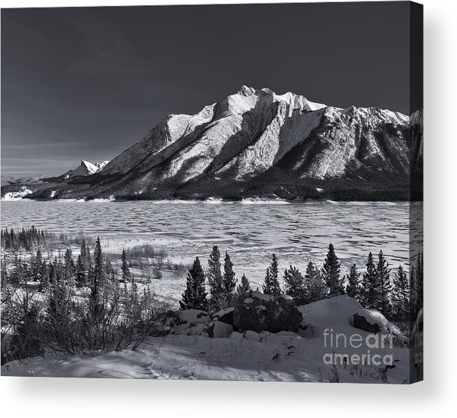 Lake Acrylic Print featuring the photograph Sunny Day At the Lake by Royce Howland
