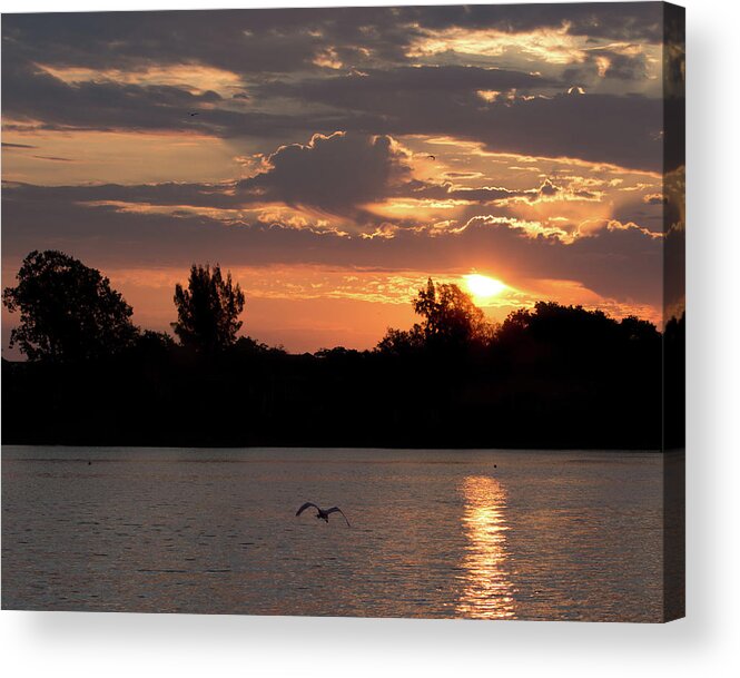 Bird Acrylic Print featuring the photograph Sunrise Over The Braden River by Richard Goldman