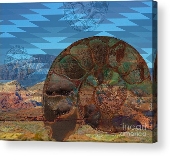 Southwest Acrylic Print featuring the painting SW fossil float by Shelley Myers