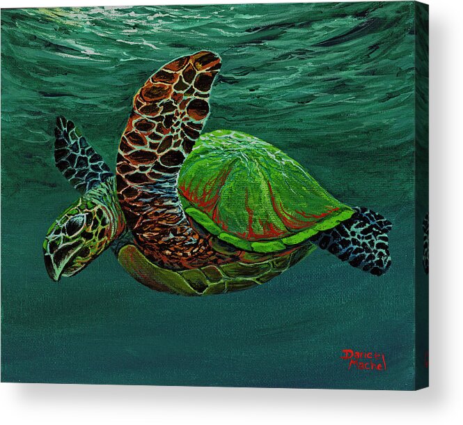 Animal Acrylic Print featuring the painting Swimming With Aloha by Darice Machel McGuire
