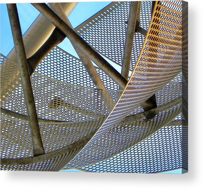 Sculptures Acrylic Print featuring the photograph Tangled Webs We Weave by Kerry Obrist