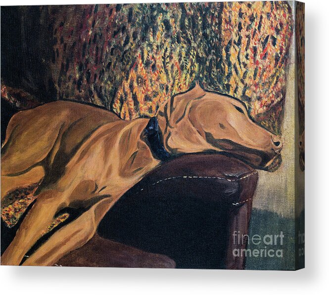 Acrylic Acrylic Print featuring the painting Tanner in Repose II by Jackie MacNair