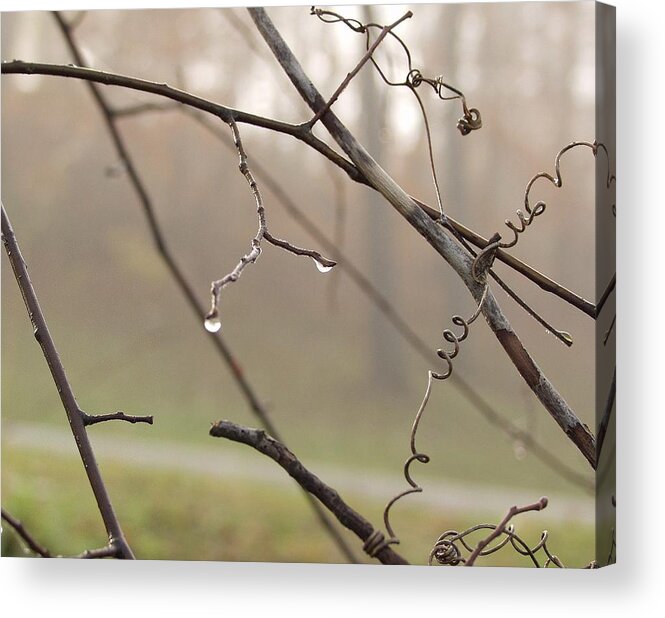 Landscape Acrylic Print featuring the photograph Teardrops by Carol Sweetwood