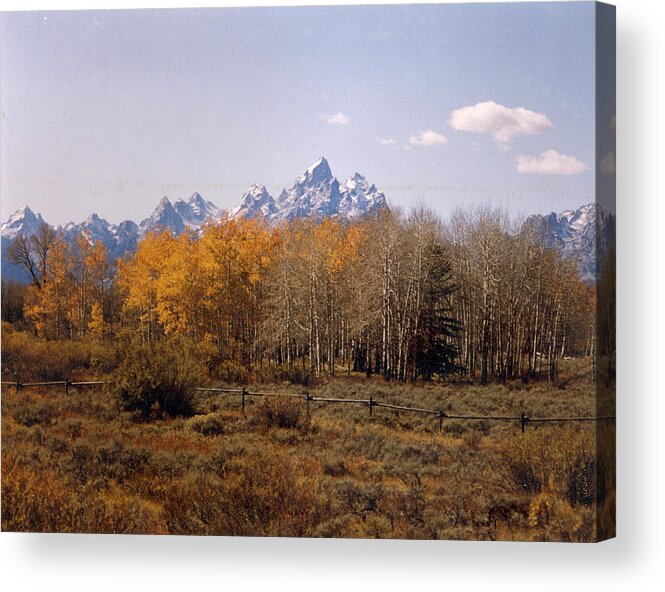 Tetons Acrylic Print featuring the photograph Tetons and Aspens in Autumn by Robert E Alter Reflections of Infinity