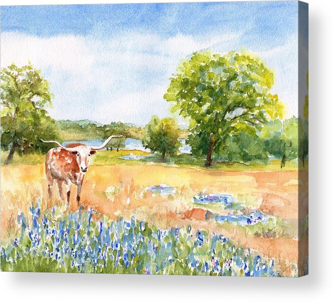 Longhorn Acrylic Print featuring the painting Texas Longhorn and Bluebonnets by Carlin Blahnik CarlinArtWatercolor