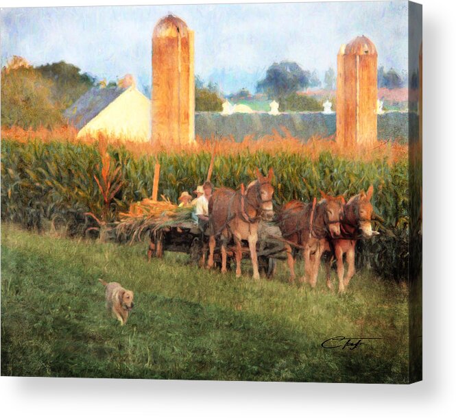 Farmers Acrylic Print featuring the photograph The Abundant Harvest by Colleen Taylor