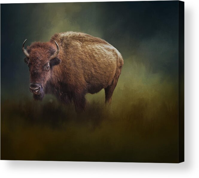 America Acrylic Print featuring the photograph The American Bison by David and Carol Kelly