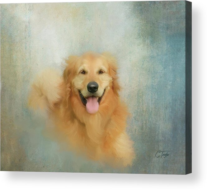 Golden Retriever Acrylic Print featuring the mixed media The Golden by Colleen Taylor