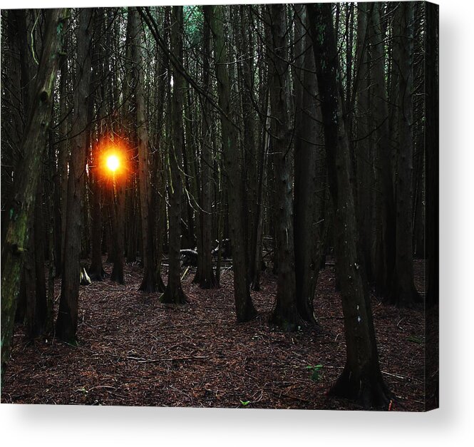 Guelph Acrylic Print featuring the photograph The Guiding Light by Debbie Oppermann