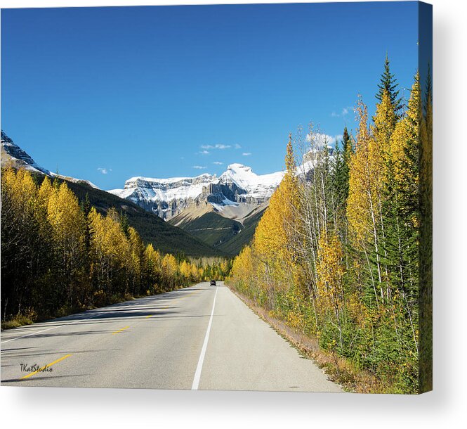 Highway 93 Acrylic Print featuring the photograph The Icefields Parkway by Tim Kathka