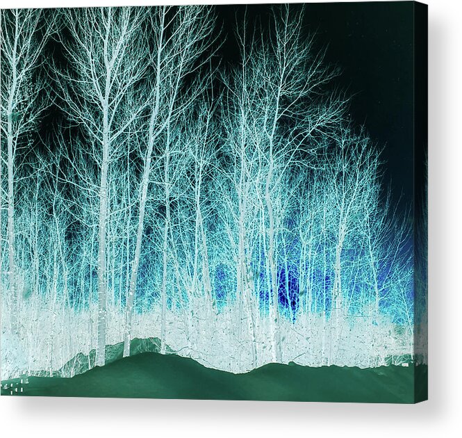 Magic Acrylic Print featuring the photograph The magic forest by Cristina Stefan