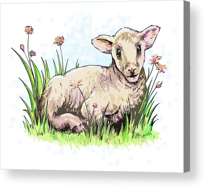 Yearling Acrylic Print featuring the drawing The Yearling by Sipporah Art and Illustration