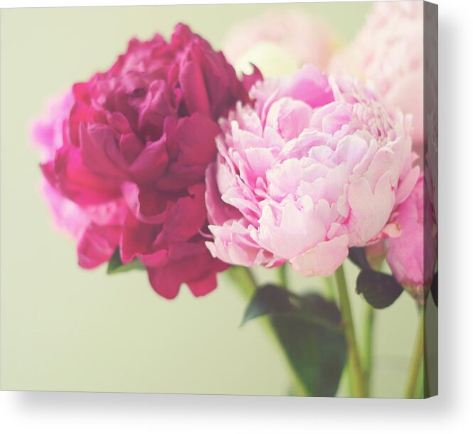 Peonies Acrylic Print featuring the photograph To Have And To Hold by Amy Tyler