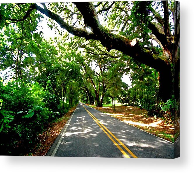 Tree Acrylic Print featuring the painting Tree Covered Road by Michael Thomas
