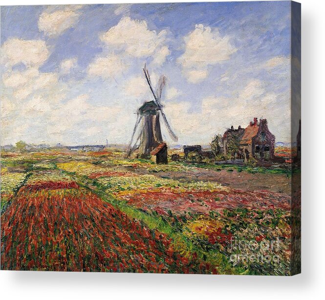 Claude Monet Acrylic Print featuring the painting Tulip Fields with the Rijnsburg Windmill by Claude Monet