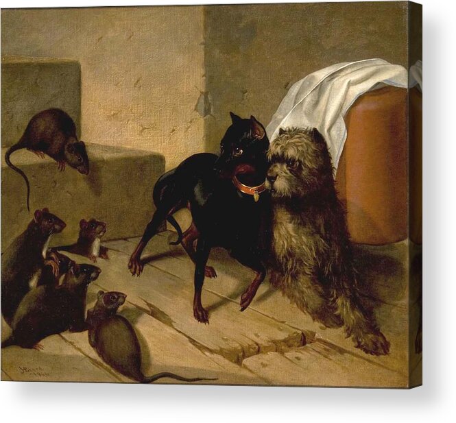 Two Dogs Cowering Before Rats Acrylic Print featuring the painting Two Dogs Cowering before Rats by MotionAge Designs