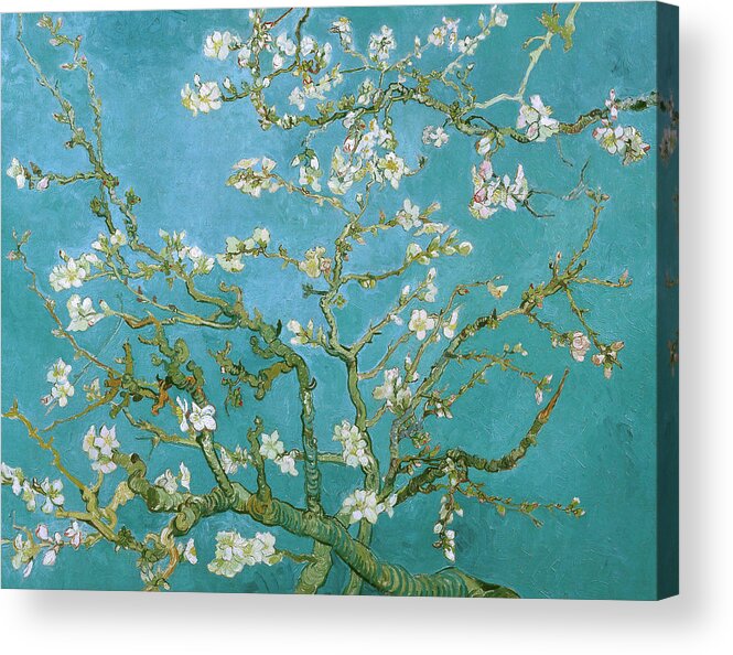 Van Gogh Acrylic Print featuring the painting Van Gogh Blossoming Almond Tree by Vincent Van Gogh