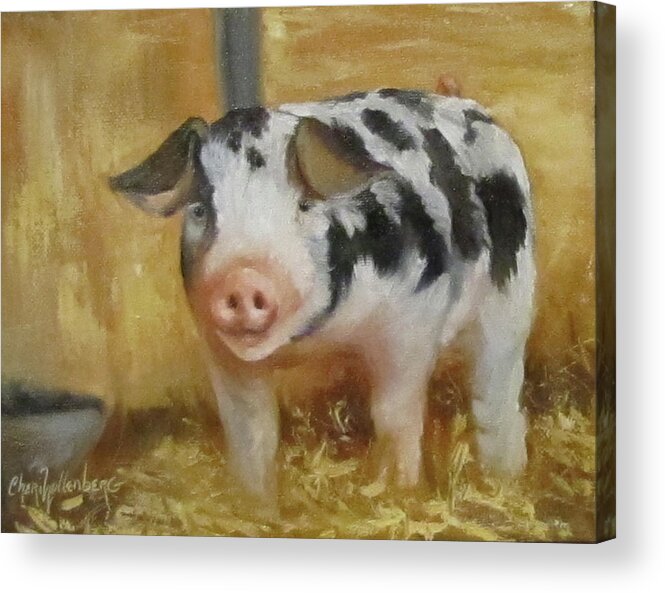 Animal Art Acrylic Print featuring the painting Vindicator The Spotted Pig by Cheri Wollenberg