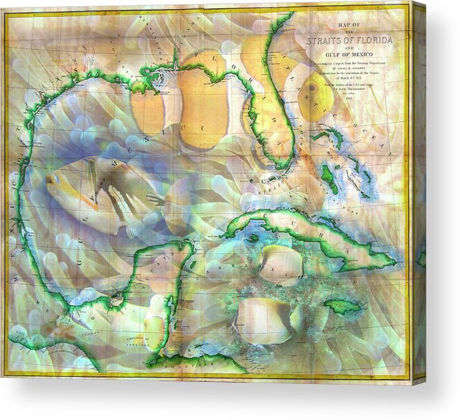 Boats Acrylic Print featuring the photograph Vintage Map of the Gulf of Mexico and the Florida Straits by Debra and Dave Vanderlaan
