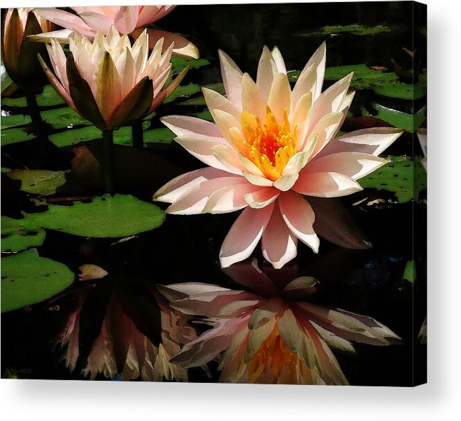 Photo Acrylic Print featuring the photograph Water Lily in Sunshine by Deborah Smith