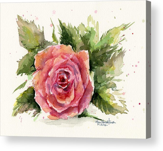Rose Acrylic Print featuring the painting Watercolor Rose by Olga Shvartsur