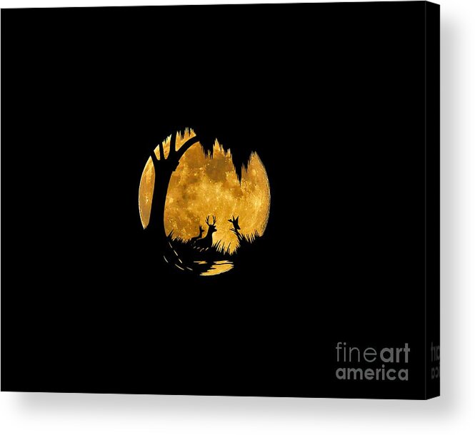 Wildlife Silhouette Acrylic Print featuring the photograph Wetland Wildlife Massive Moon .png by Al Powell Photography USA