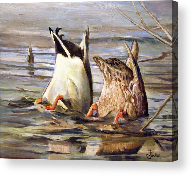 Nature Acrylic Print featuring the painting What's Up by Donna Tucker