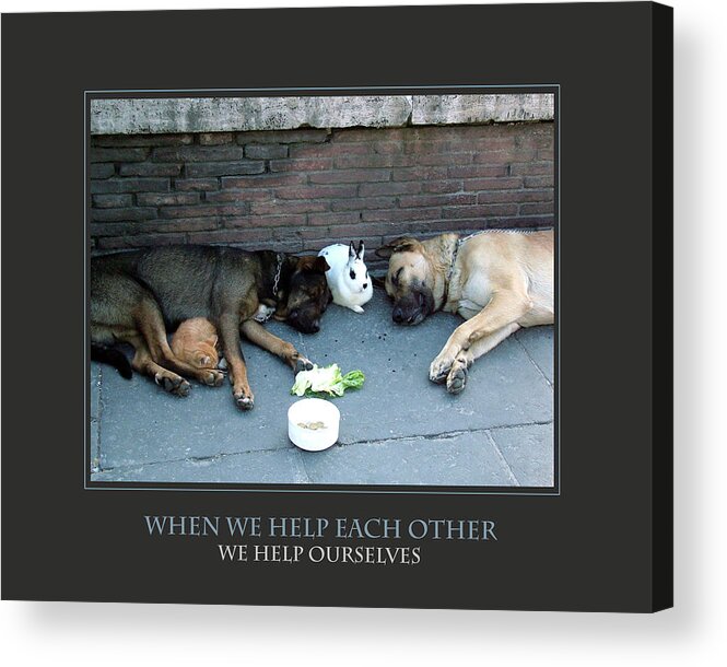 Motivational Acrylic Print featuring the photograph When We Help Each Other by Donna Corless