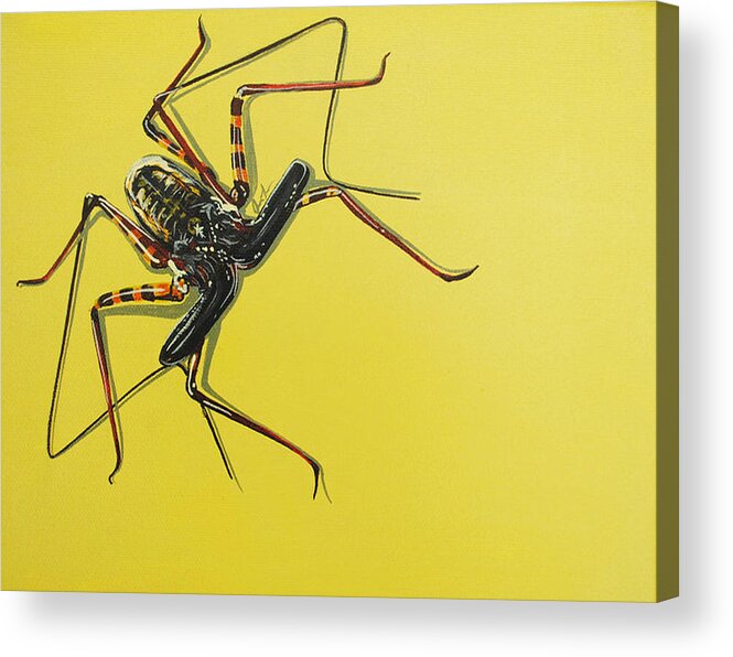 Spider Acrylic Print featuring the painting Whip Scorpion by Jude Labuszewski