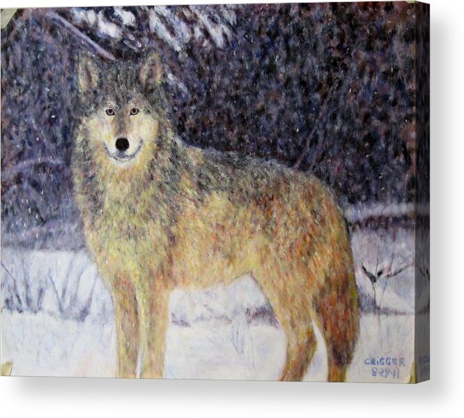 Impressionism Acrylic Print featuring the painting Wilderness wolf by Glenda Crigger